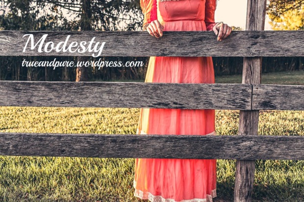 modesty series 2